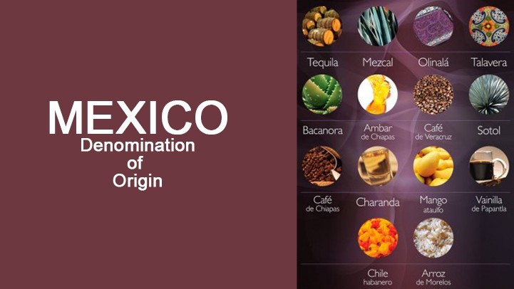 Mexican products with denomination of origin status