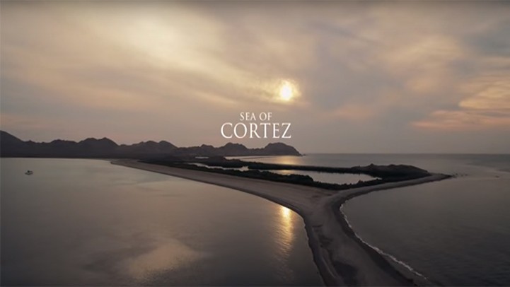 [VIDEO] Sea of Cortez: The World’s Aquarium